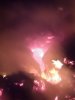 Požar 2016-05